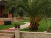 Villa a Monteverde